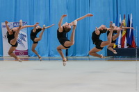 © ВФЭГ (RFAG)