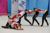 © ВФЭГ (RFAG)