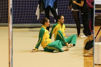 © ВФЭГ (RFAG)