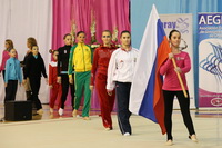© ВФЭГ (RFAG)