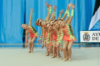 © ВФЭГ (RFAG)