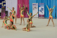 © ВФЭГ (RFAG)