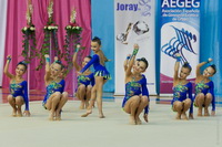 © ВФЭГ (RFAG)