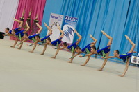 © ВФЭГ (RFAG)