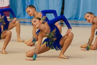 © ВФЭГ (RFAG)