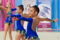 © ВФЭГ (RFAG)