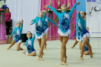 © ВФЭГ (RFAG)