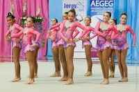 © ВФЭГ (RFAG)