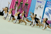 © ВФЭГ (RFAG)