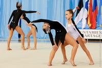 © ВФЭГ (RFAG)