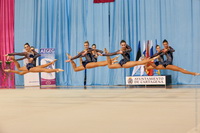 © ВФЭГ (RFAG)