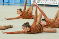 © ВФЭГ (RFAG)
