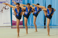 © ВФЭГ (RFAG)