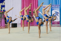 © ВФЭГ (RFAG)