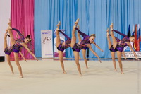 © ВФЭГ (RFAG)