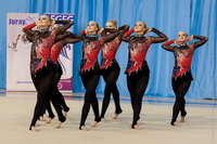 © ВФЭГ (RFAG)