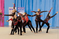 © ВФЭГ (RFAG)