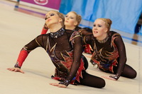 © ВФЭГ (RFAG)