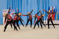 © ВФЭГ (RFAG)