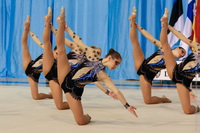 © ВФЭГ (RFAG)