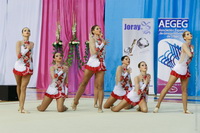 © ВФЭГ (RFAG)