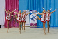 © ВФЭГ (RFAG)