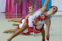 © ВФЭГ (RFAG)
