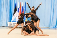 © ВФЭГ (RFAG)