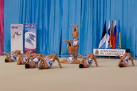 © ВФЭГ (RFAG)