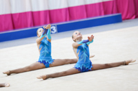 © ВФЭГ (RFAG)