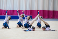 © ВФЭГ (RFAG)