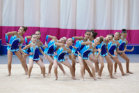 © ВФЭГ (RFAG)