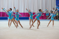 © ВФЭГ (RFAG)
