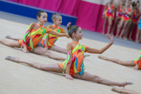 © ВФЭГ (RFAG)