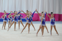 © ВФЭГ (RFAG)