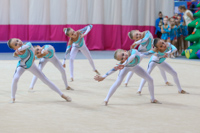 © ВФЭГ (RFAG)