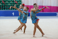 © ВФЭГ (RFAG)