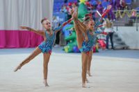 © ВФЭГ (RFAG)