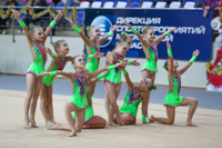 © ВФЭГ (RFAG)
