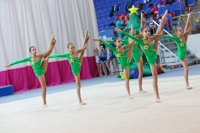 © ВФЭГ (RFAG)