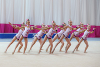 © ВФЭГ (RFAG)