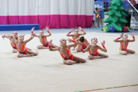 © ВФЭГ (RFAG)