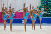 © ВФЭГ (RFAG)