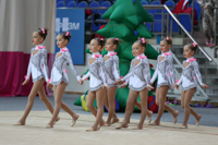 © ВФЭГ (RFAG)