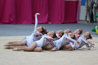 © ВФЭГ (RFAG)