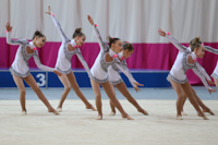 © ВФЭГ (RFAG)