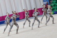 © ВФЭГ (RFAG)