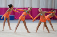 © ВФЭГ (RFAG)