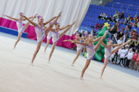 © ВФЭГ (RFAG)