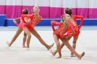 © ВФЭГ (RFAG)